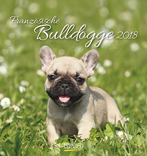 Französische Bulldogge 2018: aufstellbarer Postkartenkalender