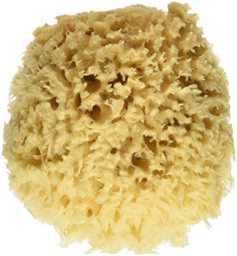 Preisvergleich Produktbild Baby Buddy Finger Zahnbürste (2 Stück)