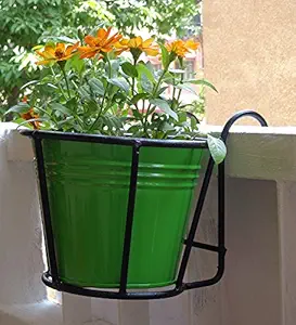 Green Gardenia Iron Railing Planter- Round Basket with Metal Pot-White (Green)