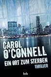 Cover zum Buch Ein Ort zum Sterben