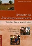 Arbeiten in der Entwicklungszusammenarbeit: Zwischen Bauern und Ministern - Erfahrungsberichte