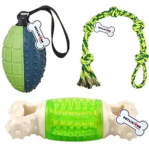 Petlicious & More? Royal Dogs Squeaky & Large Dog Chew Toy Combo for Young Dogs & Puppies (Color May Vary, Pack of 3)
