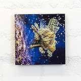 Holzbild 15x15 cm, Motiv: Fischig - Tiere, Fische, Wassertier, Meerestiere - Holz, Wandbild, Wohndekoration, Geschenk