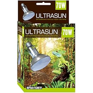 Reptiles Planet Ultrasun Glühlampe für Terrarium, 70W