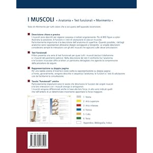 I muscoli. Anatomia. Test funzionali. Movimento