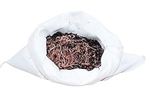 SUPERWURM 0,5 kg Gartenwürmer - für 50 m² Fläche - Bodenverbesserer - Die einfachste und natürlichste Methode Ihren Gartenboden auf zu lockern und zu durchlüften - Lehmboden auflockern