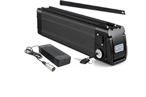 VBVAIQAD Batteries pour Vélo 36V/48V 15.6AH 18AH 21AH Batterie Velo Électrique au Lithium-ION Batterie avec Chargeur BMS, pour MiFa Rex Prophete Aldi E-Bike 250W~1000W Moteur