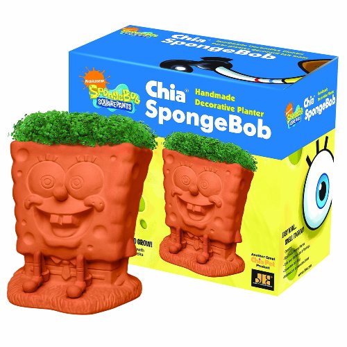 Chia SpongeBob Handmade Decorative Planter by Chia