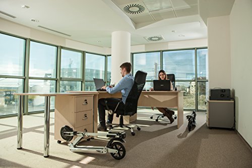 E-TWOW E Master 24v 8.5 Elektroroller - 13