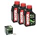 Produktbild Motul 5100 (10W-40) Ölwechsel-Set Yamaha SZR 660, Bj. 95-98 - Motoröl, HiFlo Ölfilter und Dichtring