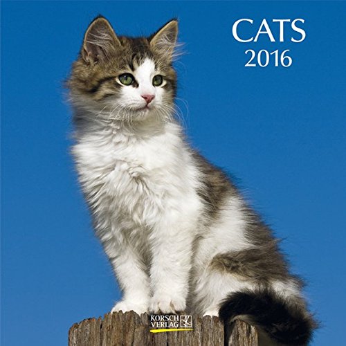 Télécharger Cats 2016: Broschürenkalender mit Ferienterminen Francais PDF