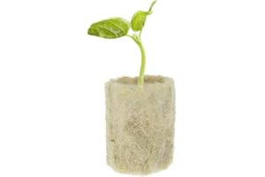 Hilai Rockwool Starter Plugs, Rockwool Cube Propagation Hydroponic Block Vegetables Cylindrical Seedling Greenhouses Cultivation System Gardening Accessories 50pcs