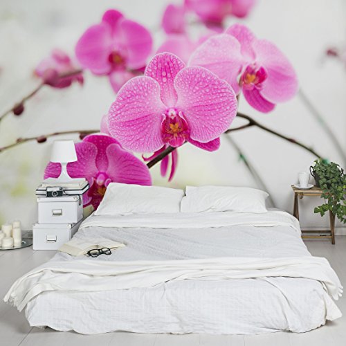 Vliestapete - Nahaufnahme Orchidee - Fototapete Breit Vlies Tapete Wandtapete Wandbild Foto 3D Fototapete, Größe HxB: 225cm x 336cm