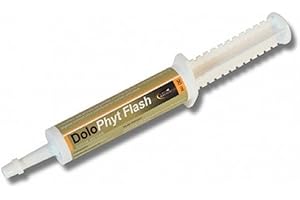 HORSEMASTER dolophyt Flash seringue orale 30 ML