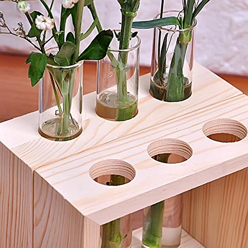 Gazechimp Kristall Glas Vase Halterung Blumen Vase mit Reagenzglasständer Holz Tisch Haus Dekoration - 7