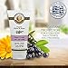Hand Cream - Anti Ageing - By Venus Secrets Natural Cosmetics -100ml - Antioxidant Protection, Nourishes and Protects the Skin - With a powerful Berry called Aronia - Suitable for Men and Women
