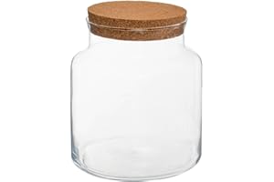 ATMOSPHERA CREATEUR D'INTERIEUR Atmosphera - Terrarium - Verre - H21 cm