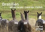 Brasilien Minas Gerais - Kalender 2014 by
