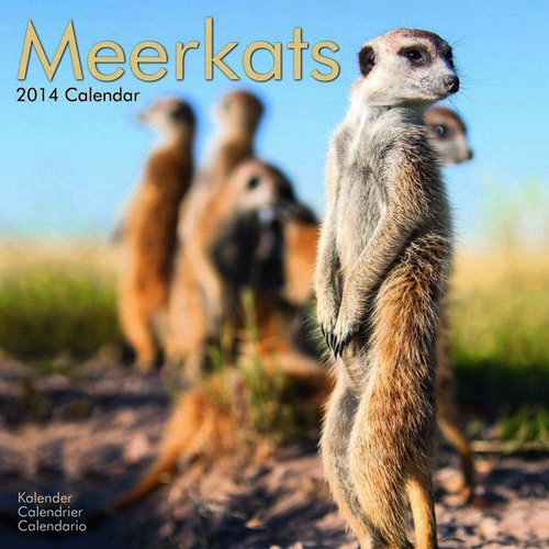 Download Meerkats 2014 (Calendar 2014) Download Meerkats 2014 (Calendar 2014)