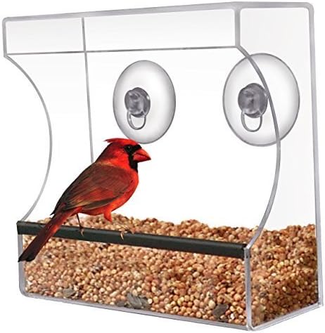 CRYSTAL CLEAR BIRD FEEDER - Suction Window Feeders Birds, Cats and Kids Love - Easy Clean and Fill - See Cardinals, Finches and Orioles Feed Inches From Kitchen Windows - FREE BONUS 7 EBOOK BUNDLE