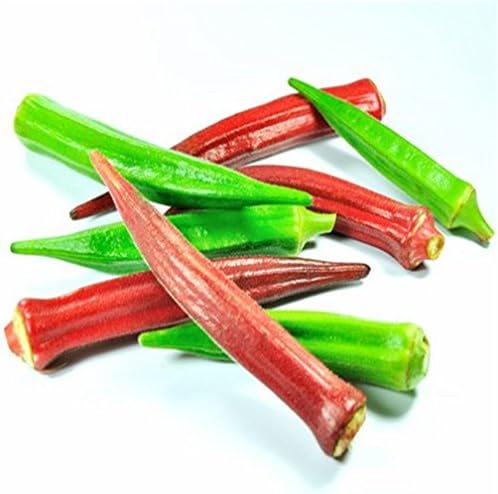Vastravel Okra Mixed Color Variety Non-GMO Vegetable 200 Seeds
