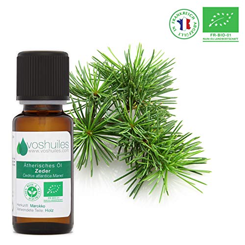 Preisvergleich Produktbild Bio Zeder ätherisches Öl - 10ml