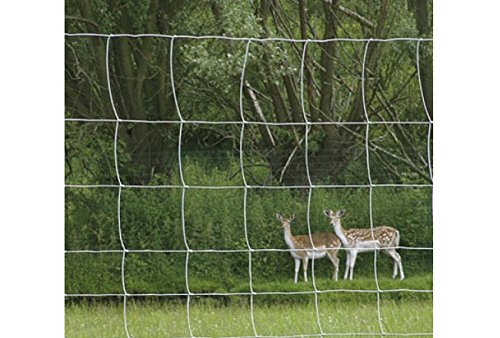 Wildzaun 50m Forstzaun Weidezaun Drahtzaun Knotengeflecht | Höhe: 160 cm | 5 Größen (160/15/30) - 4