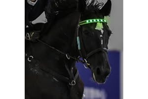 QQY Horse Headband LED Horse Breastplate Collar LED Strip Visibility Tack Horse Head Strap Bandage Strap for Night Horse Riding Equestrian Competition Event (Green)