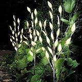 UMWELTFREUNDLICH - Diese Gartenlichterkette wird von der Sonne aufgeladen, ohne die Energieressourcen des Planeten zu beeinträchtigen. Treffen Sie Ihre eigene verantwortliche Wahl!