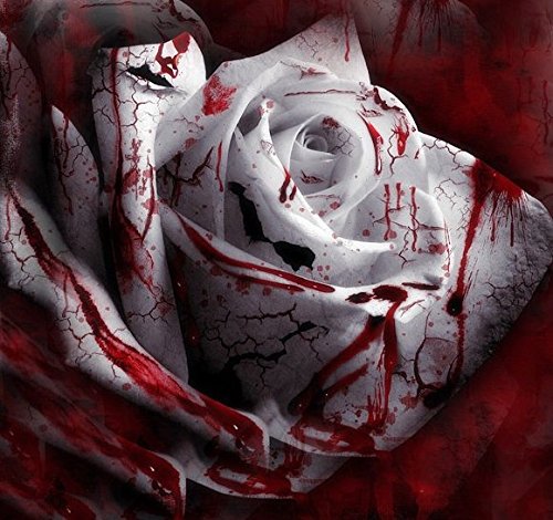 150 Samen blutende weiße Rose Bunte Blumensamen Blut weiß