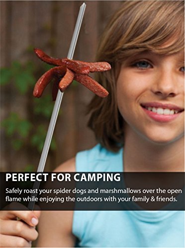 6 Edelstahl Spieße – Set von 6 Flacher, breiter, 36,8 cm Edelstahl Barbecue (BBQ) Metall schisch (Kebab (Kabob) Spieße mit ring-tip Griff – lebenslange Garantie - 6