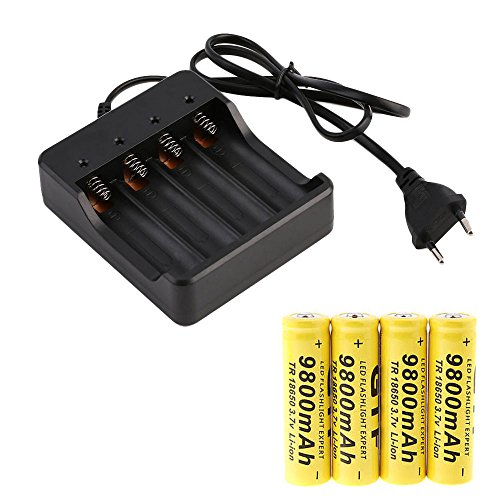 Preisvergleich Produktbild Setsail Vierfach-Ladegerät + 4 9800mAh-Akkus, umweltfreundlicher Akku, Taschenlampe, Fernbedienung, Batterie für Spielekonsole