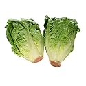 Farm Folk Little Gem Lettuce 2 Pack