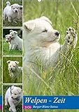 Welpen Zeit - Berger Blanc Suisse (Wandkalender 2020 DIN A2 hoch): Weiss wie Schnee, rot wie Blut und schwarz wie Ebenholz, so könnte man den Berger ... (Monatskalender, 14 Seiten ) (CALVENDO Tiere) by
