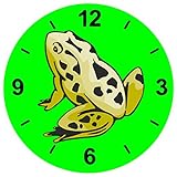 'Cristal Reloj 'Rana pie ranas animales pequeños Estanque de reloj de pared estante de vidrio...