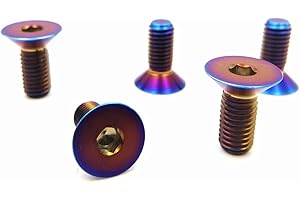 RISON-Titanium Bulloni a Testa Svasata in Titanio GR5 M6x1.0x20mm, Viti a Testa Piatta con Esagono Incassato, Viti a Testa Brugola Bullone Meccanico Viti Filettate per Bicicletta, MTB, 5 Pezzi