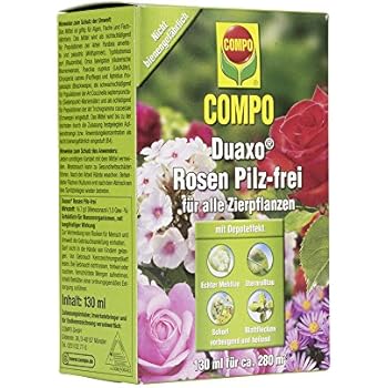 Substral Celaflor Set: Sans-Parasites Careo Concentré Rosen-Pilzfrei Saprol EB - Foto 9