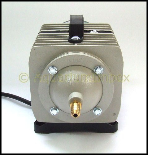 AquaForte Luftpumpe/Kolbenkompressor Hailea Aco 318, 60l/min - 5