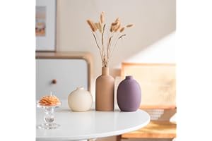 JXCBXJ Juego de 3 Jarrones de Cerámica,Jarrones Deco Estética Neutra Boho Floreros Deco Escandinavos,decoración Moderna de la casa de Campo,para la Sala de Estar,el Estante (Castaño Claro Morado Beige)