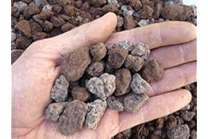 GEOSISM & NATURE - Lapillo vulcanico rosso, 100% naturale, per giardinaggio, drenaggio, pacciamatura, vasi e terrari (10/16 mm, Singolo - 11 lt)