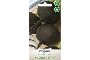 WegAna Kulata Cerna Semillas Redondas de Rábano Negro 5g, Alrededor de 500 Semillas, Semillas de Hortalizas Robustas, Semillas de Hortalizas, Semillas para Cultivo, Semillas para Invernadero