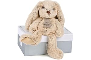 Histoire d'Ours - Peluche Lapin - Boite Cadeau - Beige - 25 Cm - Douce et Mignonne - Idée Cadeau de Naissance et Anniversaire Fille et Garçon - HO2430
