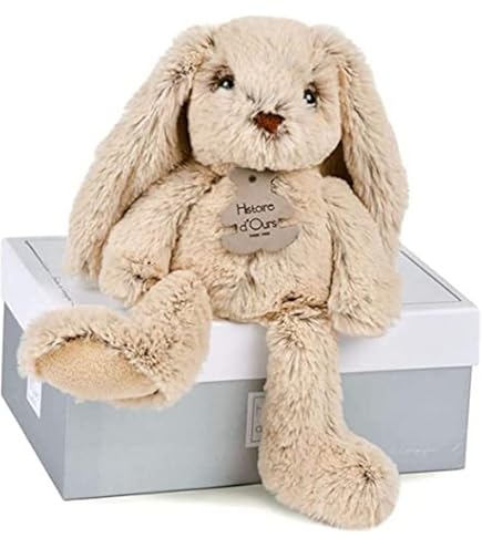 Guide complet du lapin bélier- World