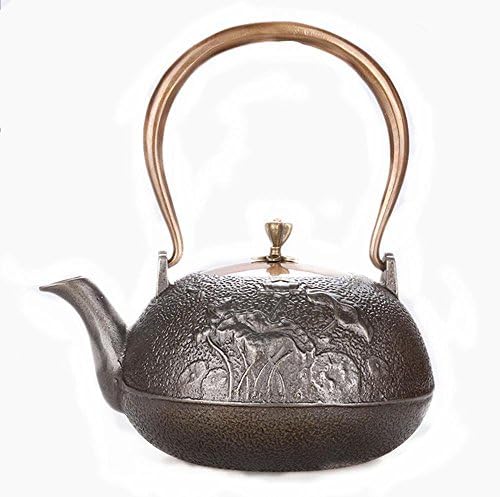 Japan Cast Iron Pot Dragonfly Lotus Pattern Iron Wall Without Coating Iron Teapot 1.2L