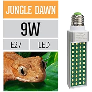 Ardacia AJD09 Jungle Dawn Lampe, 9 watt