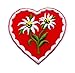 Produktbild Aufnäher Bügelbild Aufbügler Iron on Patches Applikation Herz Edelweiss 4,3x4,3cm vor148-3