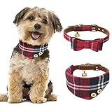 Bestes Geschenk für Ihre Haustiere: Es kann Ihre Haustiere gut ankleiden und Ihre Haustiere werden die Aufmerksamkeit der Menschen auf sich ziehen, wenn Ihre Haustiere es haben.