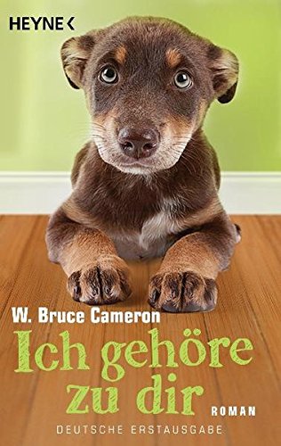 Download Ich gehöre zu dir: Roman Download Ich gehöre zu dir: Roman
