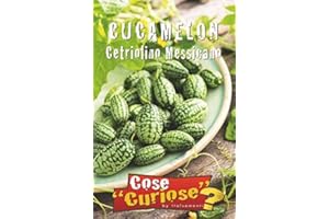 FLORIANA-BULBOSE CUCAMELON Cetriolino Messicano (Melothria scabra) - SEMI