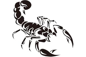 HUAMENGYUAN Adesivo decorativo per auto, adesivo 3D per auto modello scorpione adesivo per auto cool, adesivo decalcomania per cofano auto, adesivo 3D a forma auto scorpione,30 cm x 20 cm e 58 cm x 42 cm
